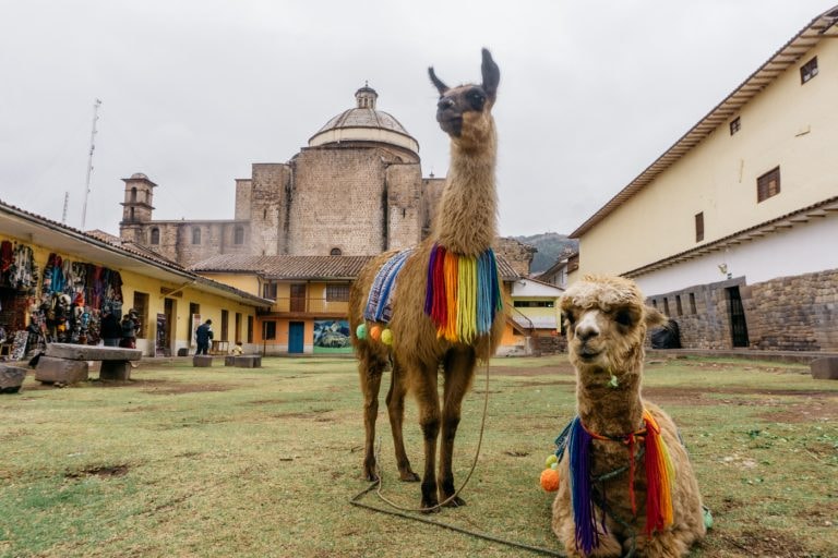 alpacaWoolExplanations